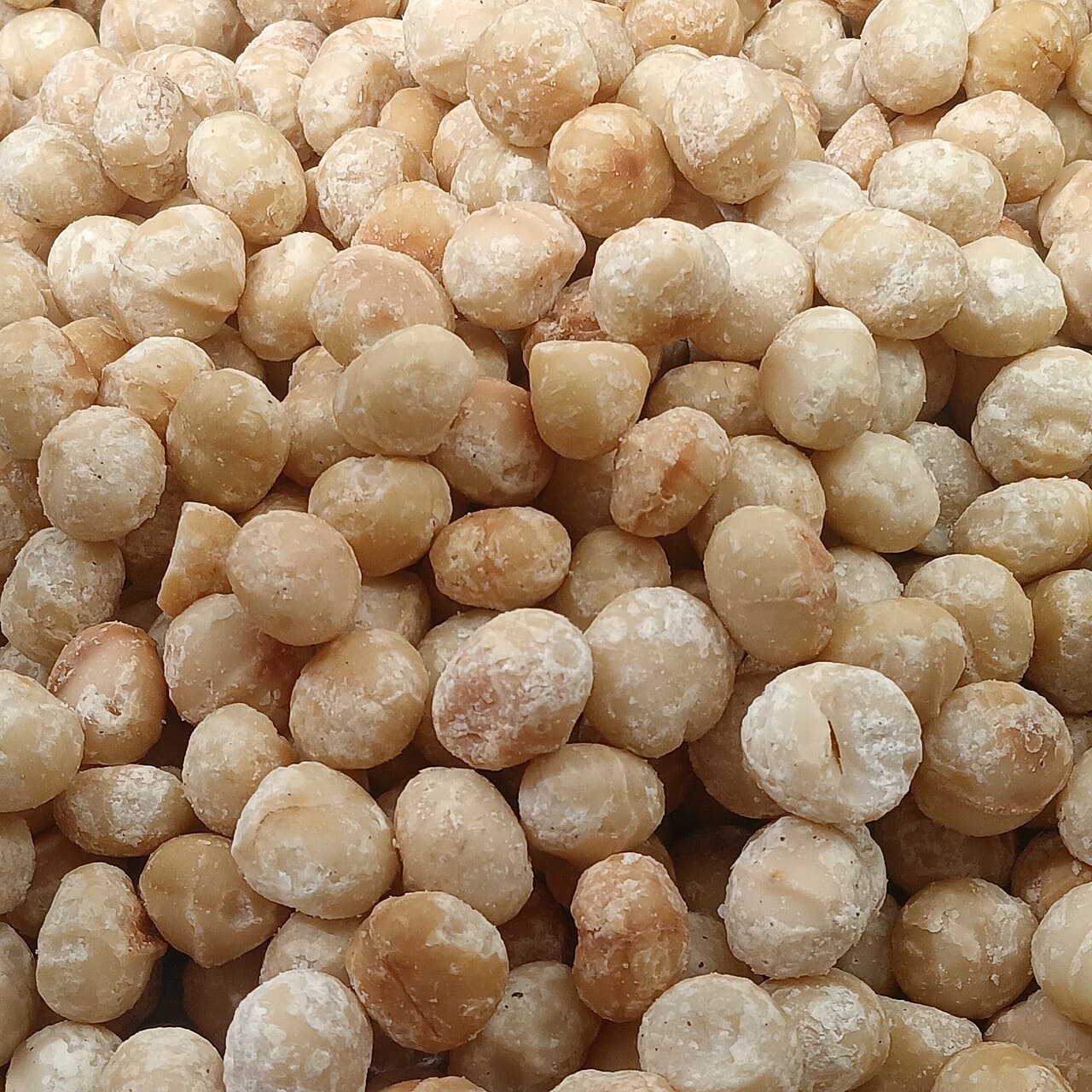 Raw Macadamia Kernels